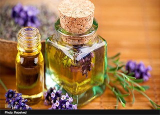 روغن "درخت چای" و "اسطوخودوس" باعث بلوغ زودرس می‌شود