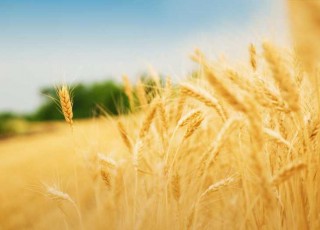 بازپرداخت 10 میلیارد تومان از تسهیلات دریافتی تمدید شد