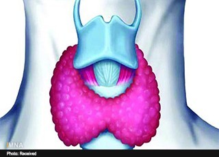 ضربان نامنظم قلب؛ مهمترین عارضه پرکاری تیروئید است