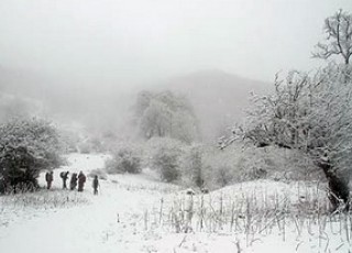 بارش 30 سانتیمتری برف در ارتفاعات روستای نیسیان/کاهش 50درصدی بارش سال زراعی جاری در اردستان