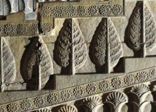 تاریخچه درختکاری در ایران باستان