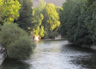 بهار باغبادران+تصاویر