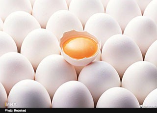 تخم مرغ بدون تاریخ مانند انسان بدون شناسنامه است